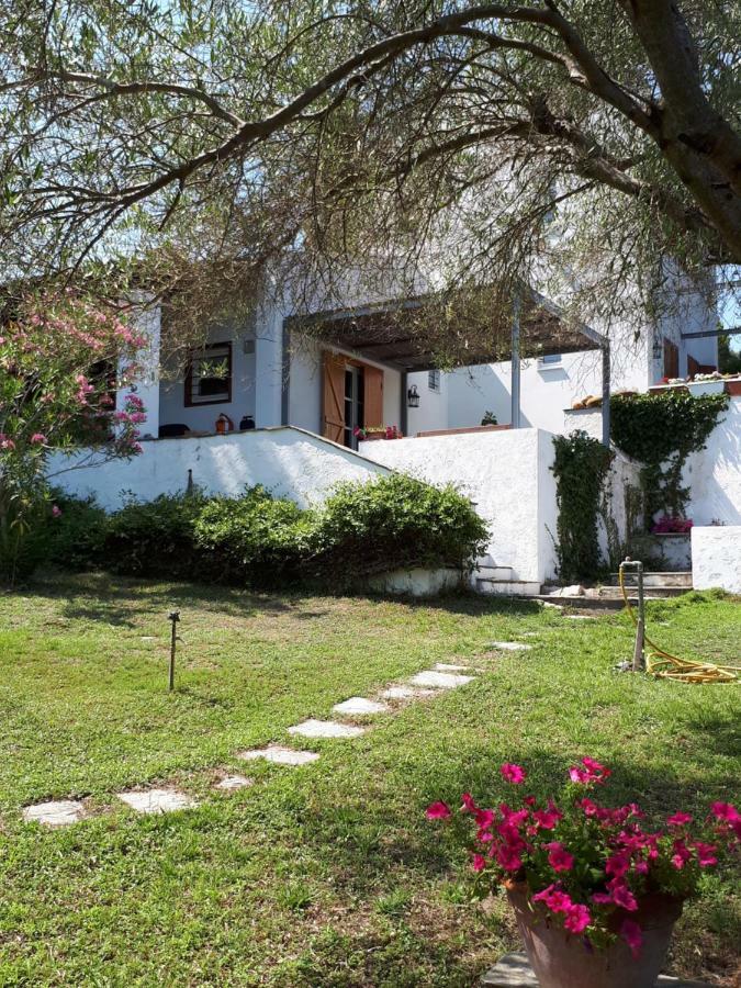 My Secret Garden - Swimming Pool Villa Kriopigi Dış mekan fotoğraf